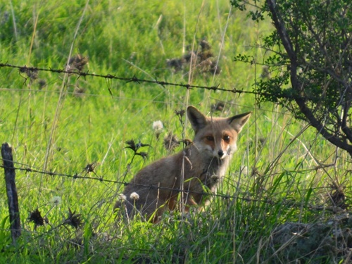 דרך ארץ טיולי ג'יפים